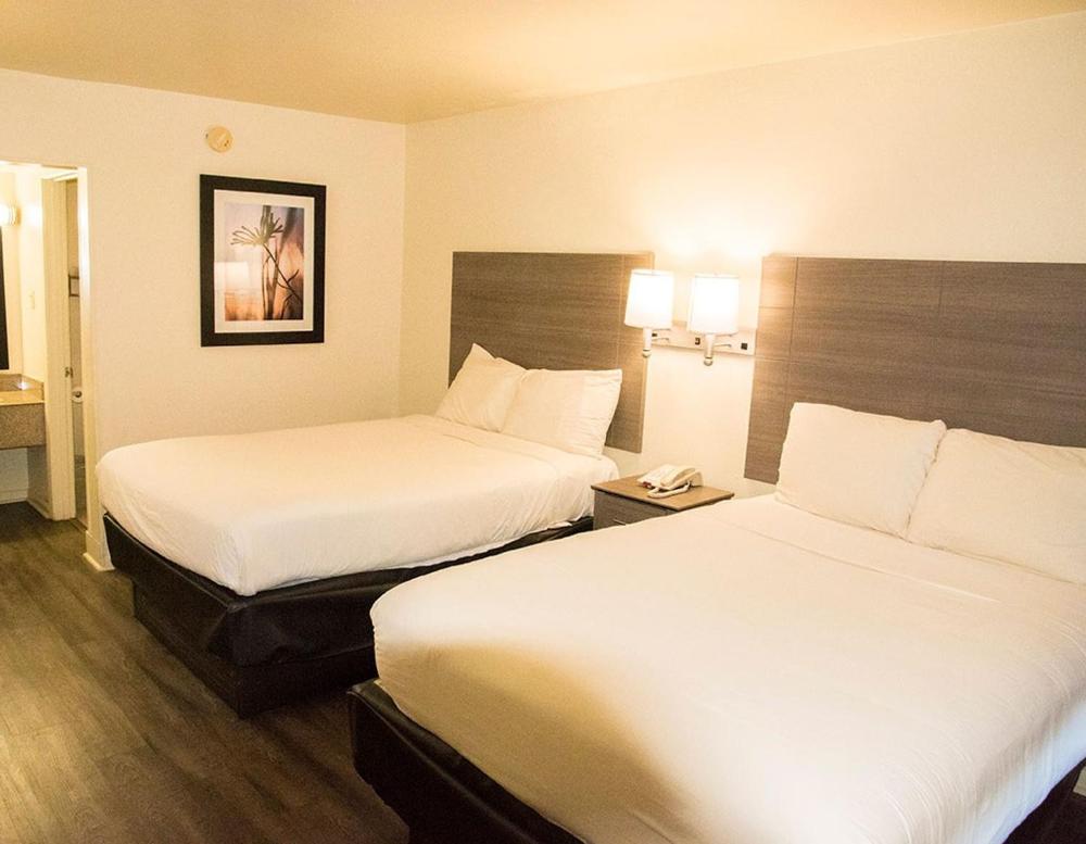 Deluxe Double Room interior